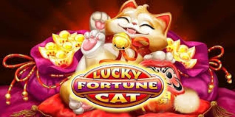 Nổ hũ mèo phú quý là gì